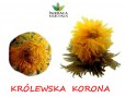 KROLEWSKA KORONA2